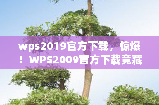 wps2019官方下载，惊爆！WPS2009官方下载竟藏着10年未揭的隐藏功能？