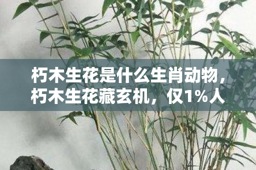 朽木生花是什么生肖动物，朽木生花藏玄机，仅1%人窥破的生肖密码，扎心真相竟在此！