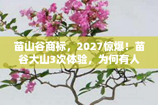 苗山谷商标，2027惊爆！苗谷大山3次体验，为何有人哭有人笑？真相炸裂！