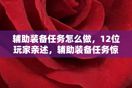 辅助装备任务怎么做，12位玩家亲述，辅助装备任务惊现离谱设定？大神萌新集体绷不住！
