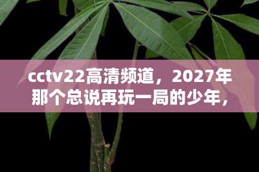 cctv22高清频道，2027年那个总说再玩一局的少年，伏笔成永远，鼻子一酸想起你