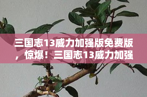 三国志13威力加强版免费版，惊爆！三国志13威力加强版破解版竟值500万？离职老兵掀桌抖隐情！
