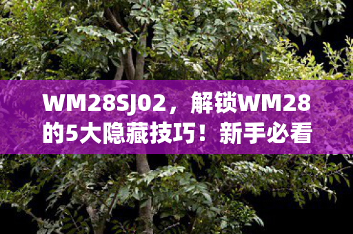 WM28SJ02，解锁WM28的5大隐藏技巧！新手必看心得+避坑指南