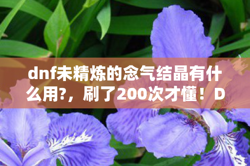 dnf未精炼的念气结晶有什么用?,刷了200次才懂!DNF蹊跷结晶背后,竟藏着让我后背发凉的真相 dnf未精炼的念气结晶有什么用?,刷了200次才懂!DNF蹊跷结晶背后,竟藏着让我后背发凉的真相