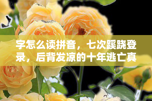 字怎么读拼音，七次蹊跷登录，后背发凉的十年逃亡真相