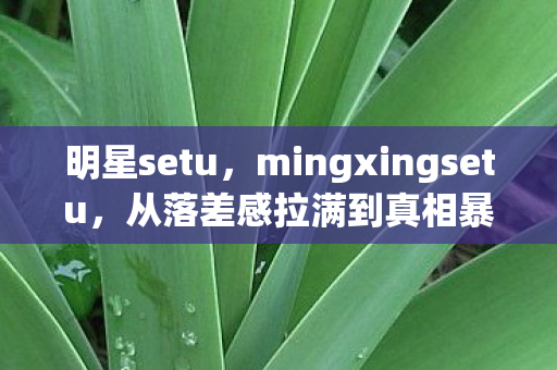 明星setu,mingxingsetu,从落差感拉满到真相暴击,笑着笑着就哭了 明星setu,mingxingsetu,从落差感拉满到真相暴击,笑着笑着就哭了