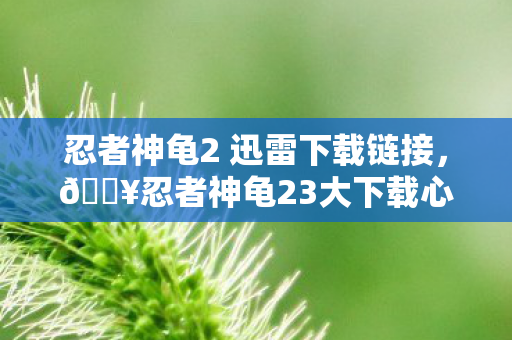 忍者神龟2 迅雷下载链接，🔥忍者神龟23大下载心得+避坑指南！看完少走90%弯路