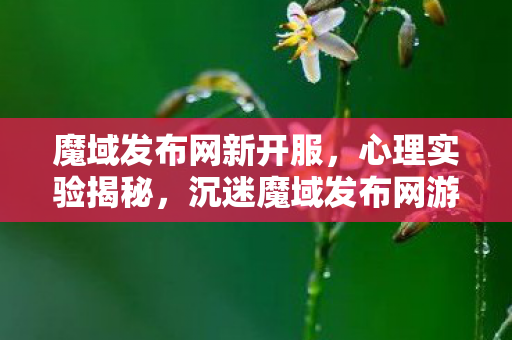 魔域发布网新开服,心理实验揭秘,沉迷魔域发布网游戏,多巴胺陷阱细思极恐 魔域发布网新开服,心理实验揭秘,沉迷魔域发布网游戏,多巴胺陷阱细思极恐