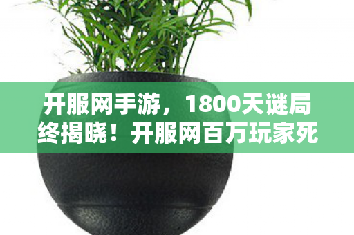开服网手游,1800天谜局终揭晓!开服网百万玩家死亡时间线曝光,泪目真相竟是…… 开服网手游,1800天谜局终揭晓!开服网百万玩家死亡时间线曝光,泪目真相竟是……