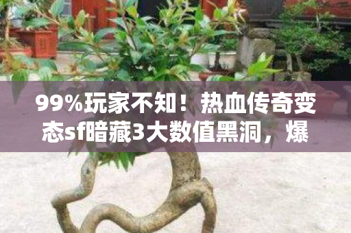 99%玩家不知!热血传奇变态sf暗藏3大数值黑洞,爆率竟被这样操控 99%玩家不知!热血传奇变态sf暗藏3大数值黑洞,爆率竟被这样操控