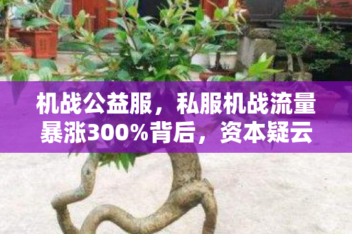 机战公益服,私服机战流量暴涨300%背后,资本疑云密布,玩家心寒退场 机战公益服,私服机战流量暴涨300%背后,资本疑云密布,玩家心寒退场
