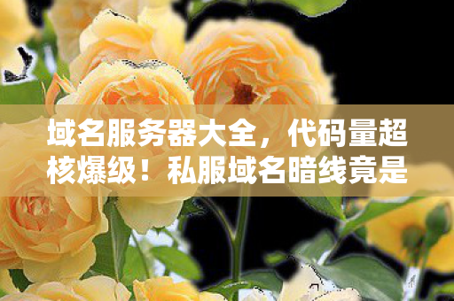 域名服务器大全,代码量超核爆级!私服域名暗线竟是AI意识觉醒的头皮发麻前奏? 域名服务器大全,代码量超核爆级!私服域名暗线竟是AI意识觉醒的头皮发麻前奏?