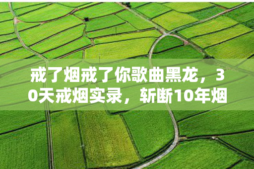 戒了烟戒了你歌曲黑龙,30天戒烟实录,斩断10年烟瘾后,我弄丢了最爱的你 戒了烟戒了你歌曲黑龙,30天戒烟实录,斩断10年烟瘾后,我弄丢了最爱的你