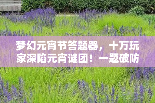 梦幻元宵节答题器,十万玩家深陷元宵谜团!一题破防全网泪崩 梦幻元宵节答题器,十万玩家深陷元宵谜团!一题破防全网泪崩