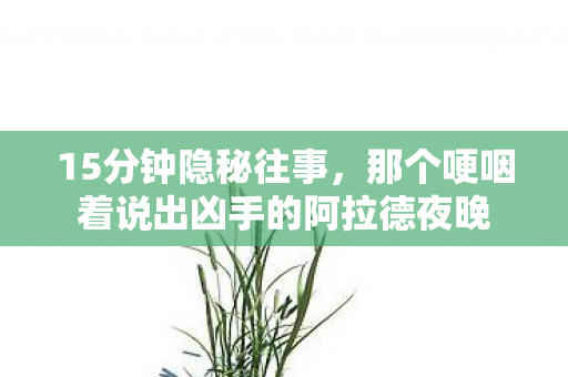 15分钟隐秘往事,那个哽咽着说出凶手的阿拉德夜晚 15分钟隐秘往事,那个哽咽着说出凶手的阿拉德夜晚