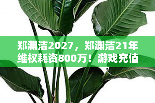 郑渊洁2027，郑渊洁21年维权耗资800万！游戏充值隐情曝光，吓一跳的账本！