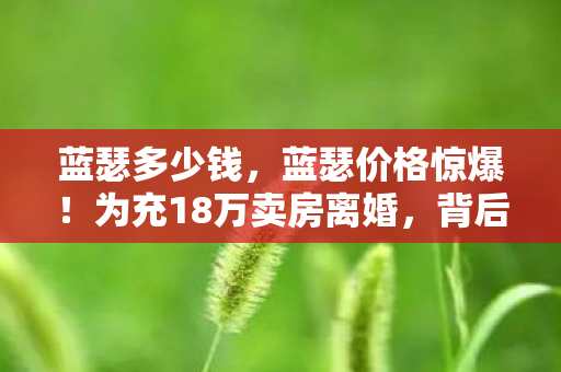 蓝瑟多少钱,蓝瑟价格惊爆!为充18万卖房离婚,背后隐情让人吓一跳! 蓝瑟多少钱,蓝瑟价格惊爆!为充18万卖房离婚,背后隐情让人吓一跳!