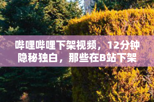 哔哩哔哩下架视频,12分钟隐秘独白,那些在B站下架前哽咽着通关的夜晚 哔哩哔哩下架视频,12分钟隐秘独白,那些在B站下架前哽咽着通关的夜晚