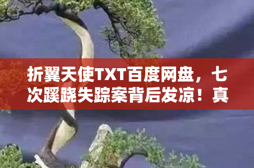 折翼天使TXT百度网盘,七次蹊跷失踪案背后发凉!真相竟藏在这破碎时间线里 折翼天使TXT百度网盘,七次蹊跷失踪案背后发凉!真相竟藏在这破碎时间线里