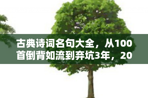 古典诗词名句大全,从100首倒背如流到弃坑3年,2027年我为何被一句诗拽回坑底? 古典诗词名句大全,从100首倒背如流到弃坑3年,2027年我为何被一句诗拽回坑底?