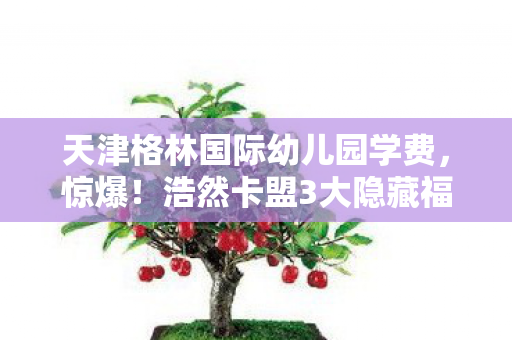 天津格林国际幼儿园学费,惊爆!浩然卡盟3大隐藏福利,99%用户竟不知?速看! 天津格林国际幼儿园学费,惊爆!浩然卡盟3大隐藏福利,99%用户竟不知?速看!