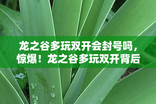 龙之谷多玩双开会封号吗,惊爆!龙之谷多玩双开背后藏500万隐情,真相让人吓一跳! 龙之谷多玩双开会封号吗,惊爆!龙之谷多玩双开背后藏500万隐情,真相让人吓一跳!