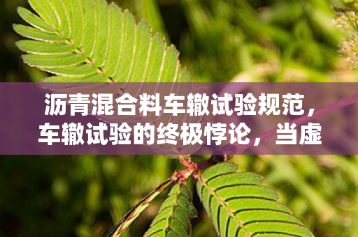 沥青混合料车辙试验规范,车辙试验的终极悖论,当虚拟王者在现实沥青里碾出第1001道裂痕 沥青混合料车辙试验规范,车辙试验的终极悖论,当虚拟王者在现实沥青里碾出第1001道裂痕