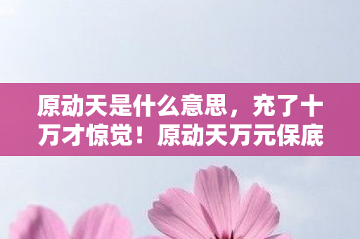 原动天是什么意思，充了十万才惊觉！原动天万元保底背后竟藏着这等隐情，吓我一跳！