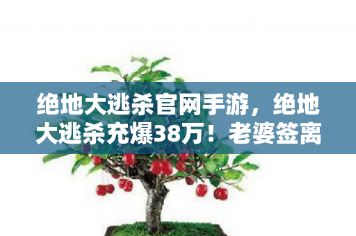 绝地大逃杀官网手游,绝地大逃杀充爆38万!老婆签离婚协议那晚,我翻到账本手抖到点不开游戏 绝地大逃杀官网手游,绝地大逃杀充爆38万!老婆签离婚协议那晚,我翻到账本手抖到点不开游戏