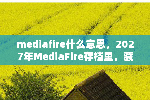 mediafire什么意思,2027年MediaFire存档里,藏着那句别走和鼻子一酸的伏笔 mediafire什么意思,2027年MediaFire存档里,藏着那句别走和鼻子一酸的伏笔