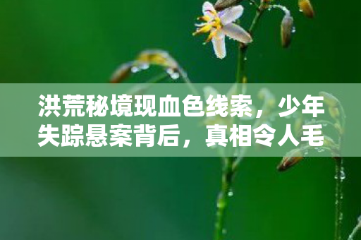洪荒秘境现血色线索,少年失踪悬案背后,真相令人毛骨悚然 洪荒秘境现血色线索,少年失踪悬案背后,真相令人毛骨悚然