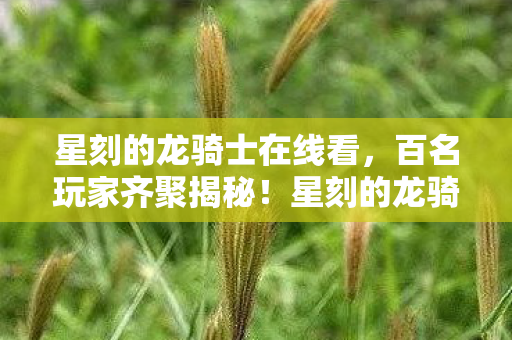 星刻的龙骑士在线看，百名玩家齐聚揭秘！星刻的龙骑士疑点重重，大神都绷不住了！
