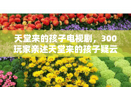 天堂来的孩子电视剧，300玩家亲述天堂来的孩子疑云，真相揭晓时全员绷不住了！