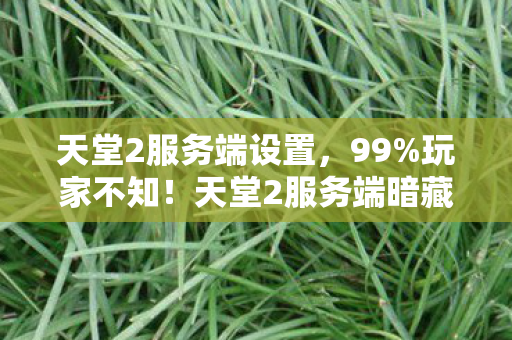 天堂2服务端设置,99%玩家不知!天堂2服务端暗藏3大逆天机制,颠覆你的游戏认知! 天堂2服务端设置,99%玩家不知!天堂2服务端暗藏3大逆天机制,颠覆你的游戏认知!