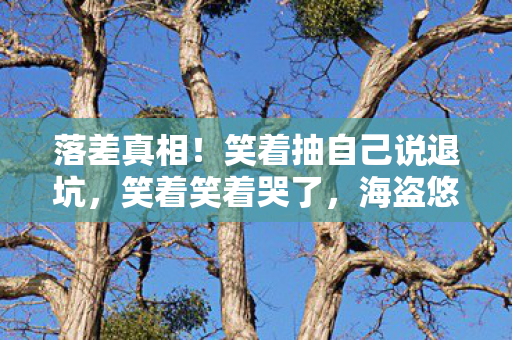 落差真相!笑着抽自己说退坑,笑着笑着哭了,海盗悠闲的假象 落差真相!笑着抽自己说退坑,笑着笑着哭了,海盗悠闲的假象