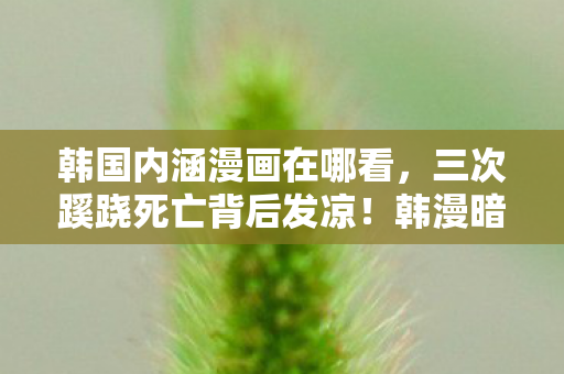 韩国内涵漫画在哪看,三次蹊跷死亡背后发凉!韩漫暗线竟藏惊天反转? 韩国内涵漫画在哪看,三次蹊跷死亡背后发凉!韩漫暗线竟藏惊天反转?
