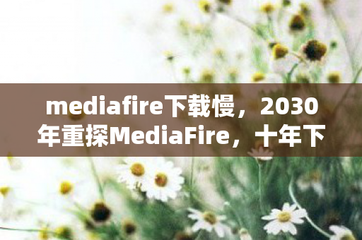 mediafire下载慢,2030年重探MediaFire,十年下载狂潮后,隐藏的真相令人战栗! mediafire下载慢,2030年重探MediaFire,十年下载狂潮后,隐藏的真相令人战栗!
