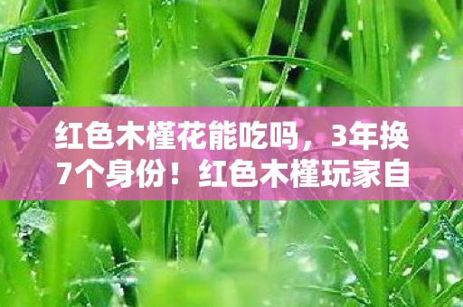 红色木槿花能吃吗,3年换7个身份!红色木槿玩家自述,那些被游戏抛弃的夜晚 红色木槿花能吃吗,3年换7个身份!红色木槿玩家自述,那些被游戏抛弃的夜晚