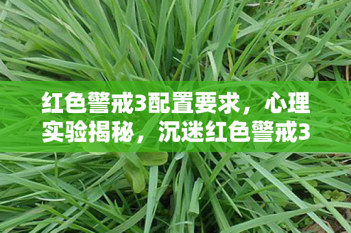 红色警戒3配置要求,心理实验揭秘,沉迷红色警戒3配置,多巴胺陷阱细思极恐 红色警戒3配置要求,心理实验揭秘,沉迷红色警戒3配置,多巴胺陷阱细思极恐