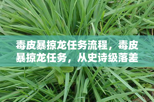毒皮暴掠龙任务流程,毒皮暴掠龙任务,从史诗级落差到笑着笑着哭了的真相揭秘 毒皮暴掠龙任务流程,毒皮暴掠龙任务,从史诗级落差到笑着笑着哭了的真相揭秘