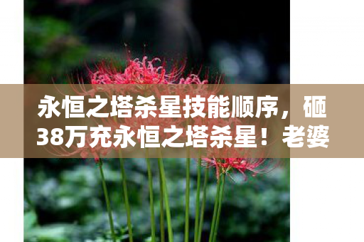 永恒之塔杀星技能顺序，砸38万充永恒之塔杀星！老婆签离婚协议时，我才知这隐情多吓人