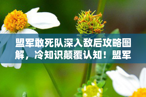 盟军敢死队深入敌后攻略图解，冷知识颠覆认知！盟军敢死队这些设计细节，让你目瞪口呆！