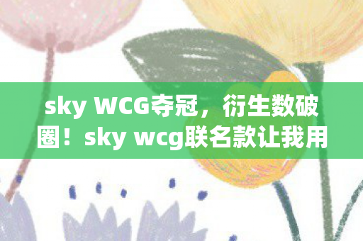 sky WCG夺冠，衍生数破圈！sky wcg联名款让我用冰箱空响换来全宇宙的尖叫