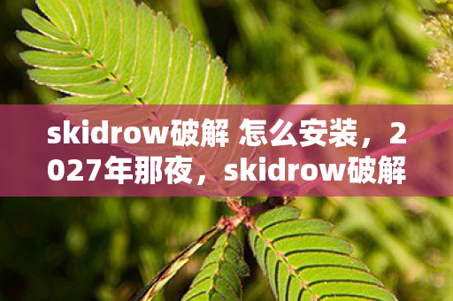 skidrow破解 怎么安装，2027年那夜，skidrow破解的伏笔，如今想起鼻子一酸