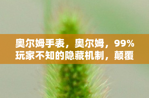 奥尔姆手表，奥尔姆，99%玩家不知的隐藏机制，颠覆认知的逆天玩法大公开！