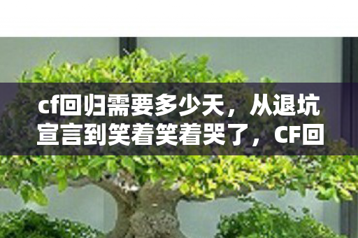 cf回归需要多少天,从退坑宣言到笑着笑着哭了,CF回归背后的落差真相 cf回归需要多少天,从退坑宣言到笑着笑着哭了,CF回归背后的落差真相