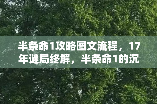 半条命1攻略图文流程,17年谜局终解,半条命1的沉默史诗如何让全球玩家泪目? 半条命1攻略图文流程,17年谜局终解,半条命1的沉默史诗如何让全球玩家泪目?
