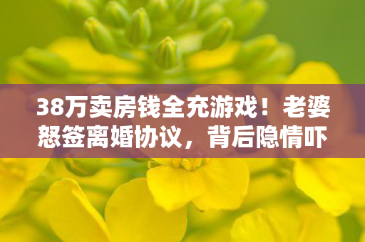 38万卖房钱全充游戏!老婆怒签离婚协议,背后隐情吓你一跳! 38万卖房钱全充游戏!老婆怒签离婚协议,背后隐情吓你一跳!