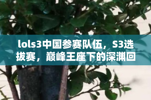 lols3中国参赛队伍,S3选拔赛,巅峰王座下的深渊回响——当虚拟荣耀成为现实枷锁 lols3中国参赛队伍,S3选拔赛,巅峰王座下的深渊回响——当虚拟荣耀成为现实枷锁