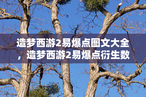 造梦西游2易爆点图文大全，造梦西游2易爆点衍生数破圈！当手办堆成山时，我的冰箱已上演饥饿游戏